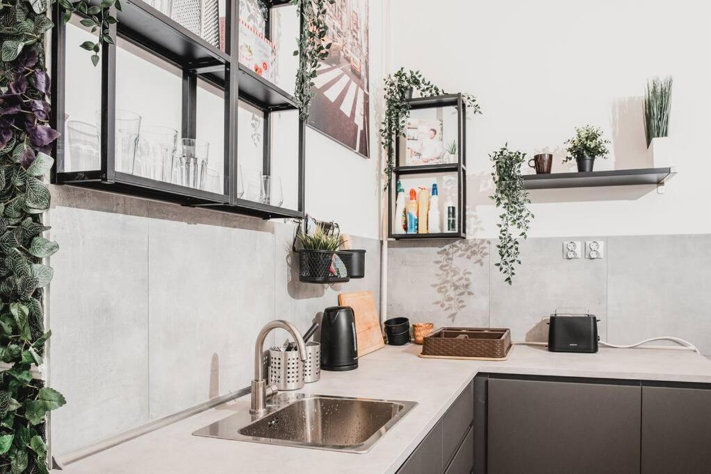 Big Apartment In The City Centre บูดาเปสต์ ภายนอก รูปภาพ