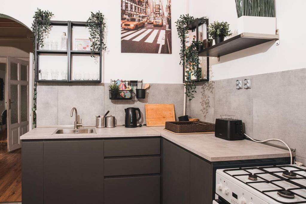 Big Apartment In The City Centre บูดาเปสต์ ภายนอก รูปภาพ